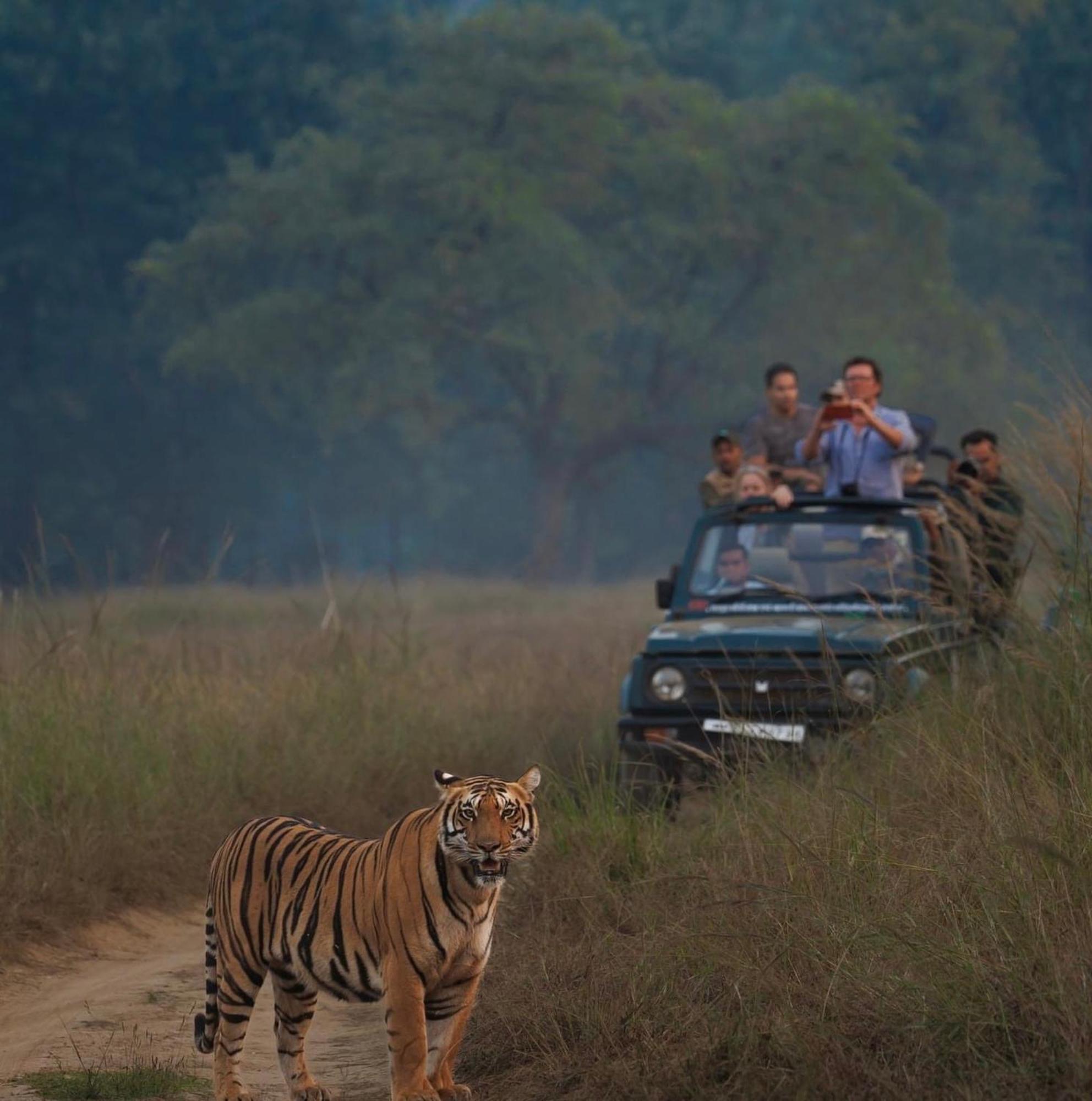 The Deer Meadows Villa Mudumalai Bagian luar foto
