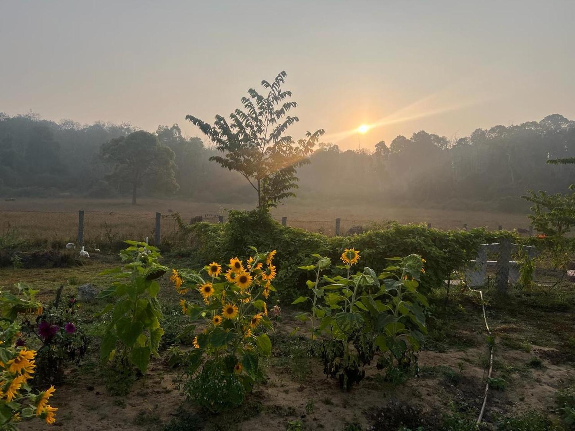 The Deer Meadows Villa Mudumalai Bagian luar foto